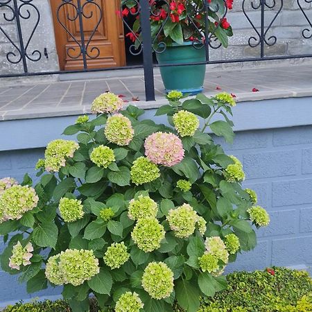 Garden Guest House Permet Luaran gambar