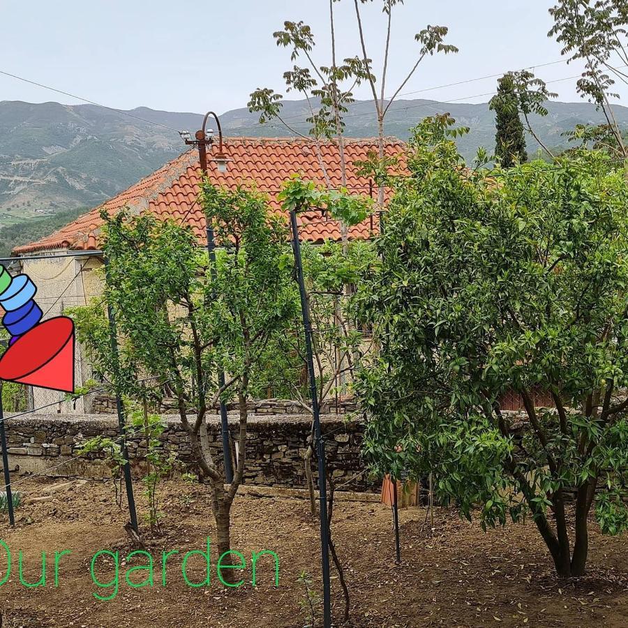Garden Guest House Permet Luaran gambar