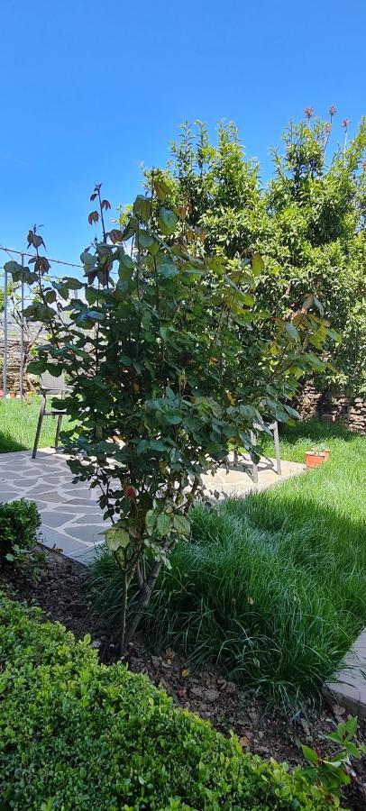 Garden Guest House Permet Luaran gambar