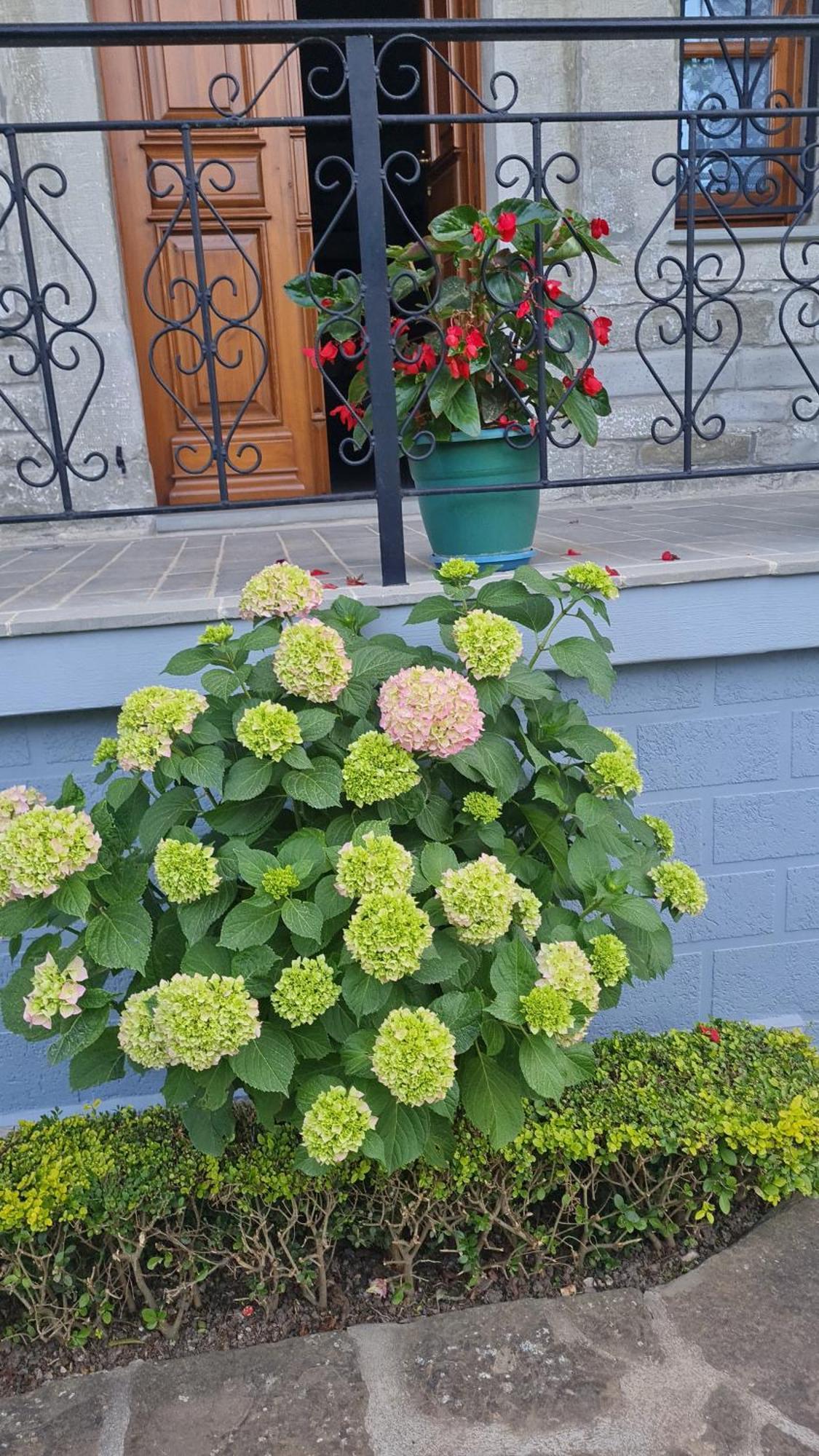 Garden Guest House Permet Luaran gambar