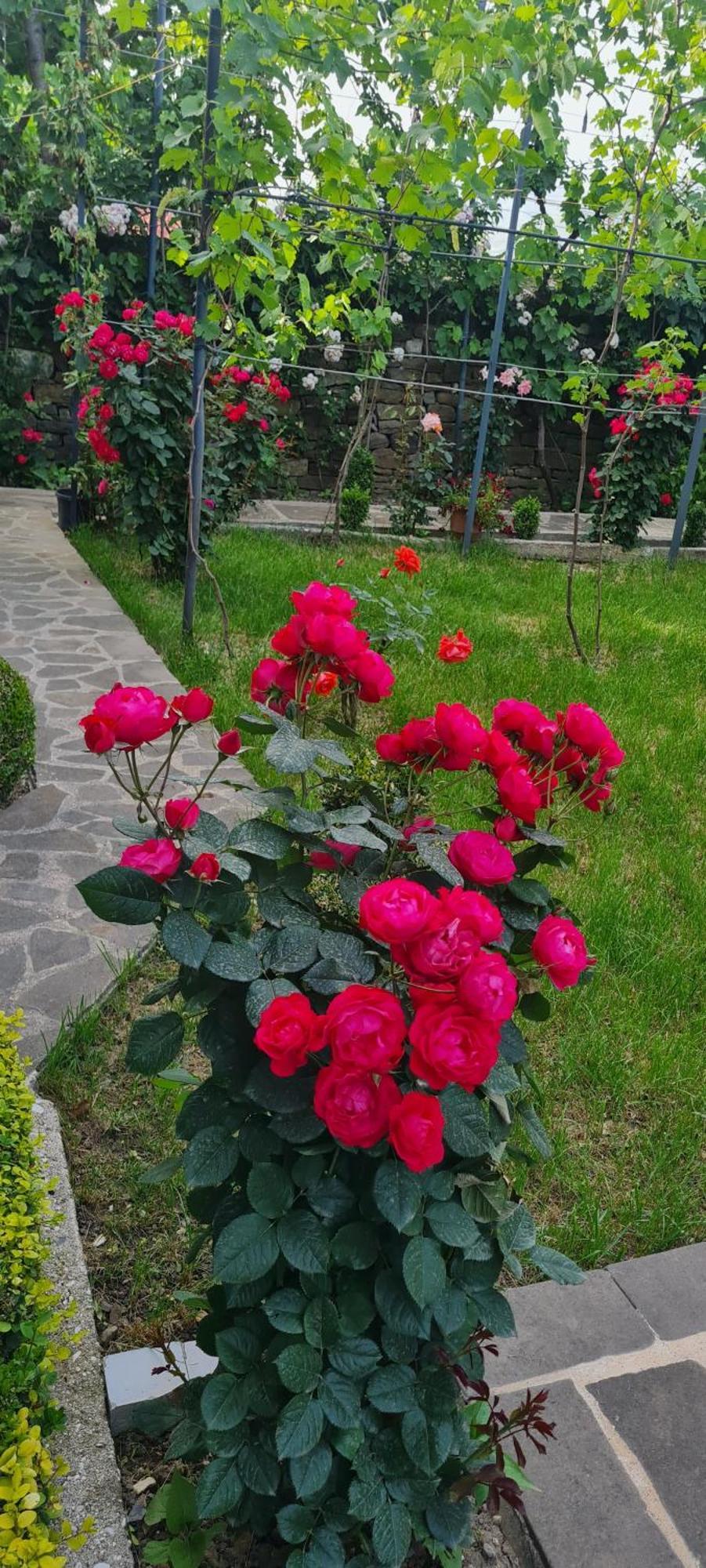 Garden Guest House Permet Luaran gambar