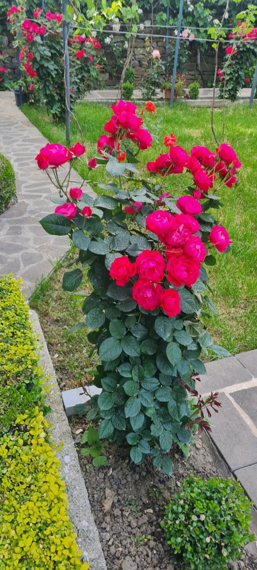 Garden Guest House Permet Luaran gambar